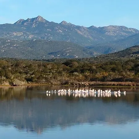 14 Personnes Corse Sud, Bord De Mer * Pianottoli-Caldarello (Corsica)